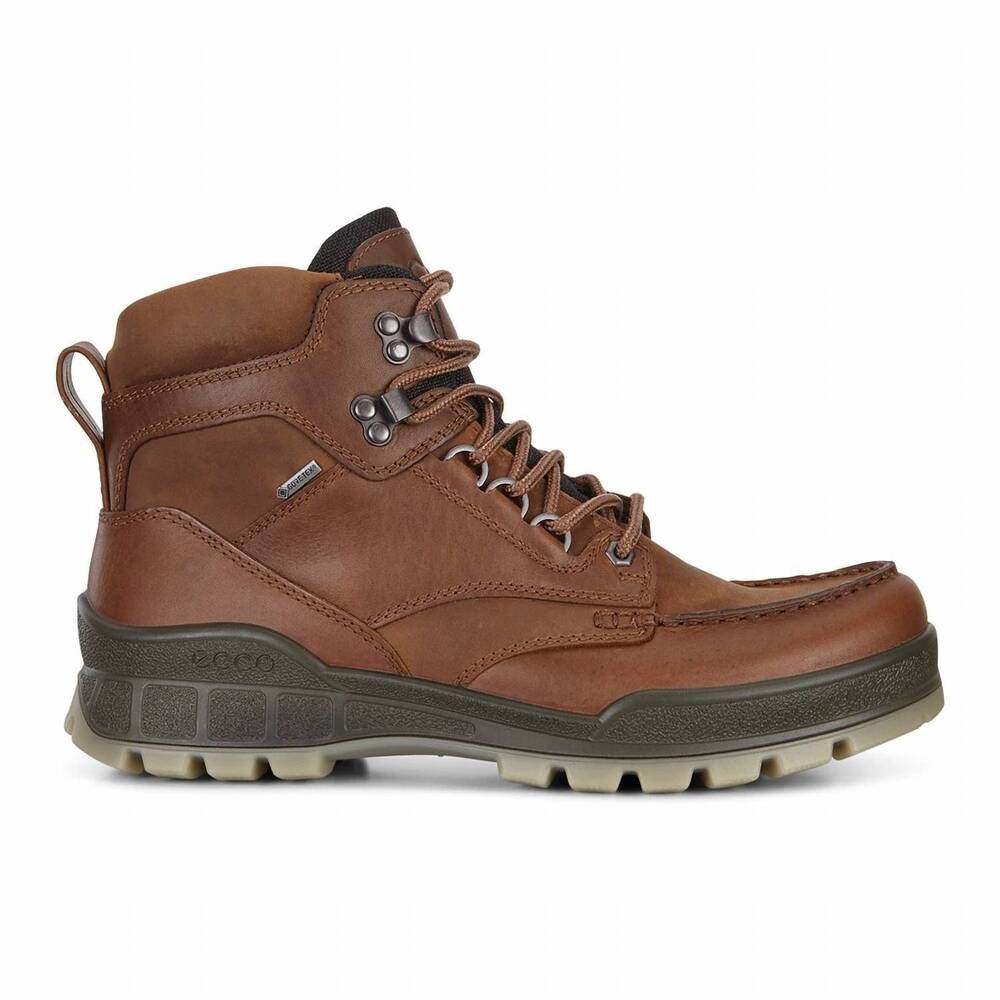 NEW ECCO men's track 25 mid gtx boots in bison/bison